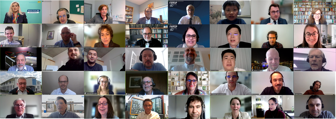Photo mosaic of experts from the RLS-Sciences groups during their presentations in the RLS-Sciences Online Conference 2021. 